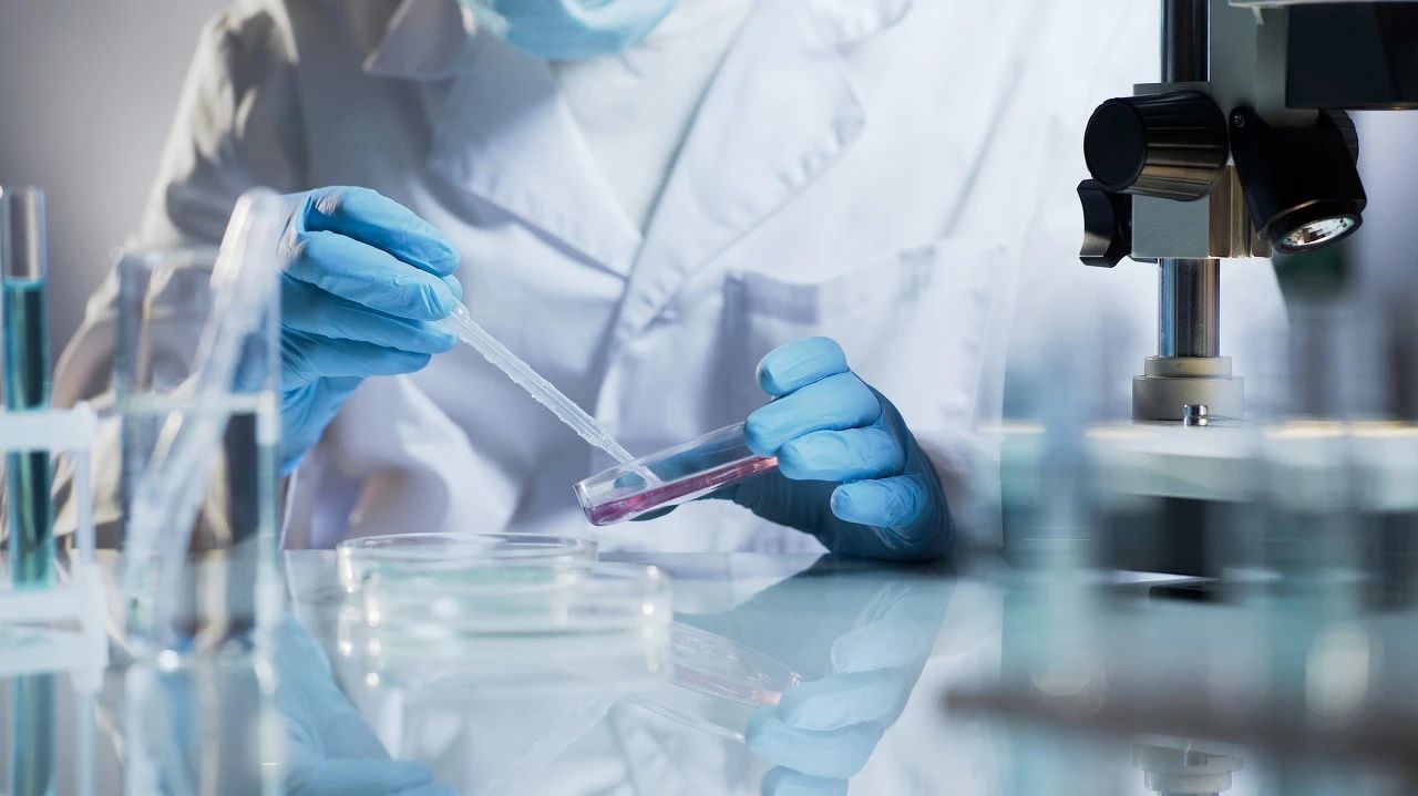 黃埔企業(yè)加速研發(fā)，多款新冠病毒檢測試劑盒成功問世