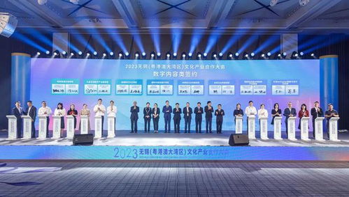 無錫粵港澳大灣區(qū)文化產(chǎn)業(yè)合作大會舉行，聚焦數(shù)字文化創(chuàng)意內(nèi)容應用服務